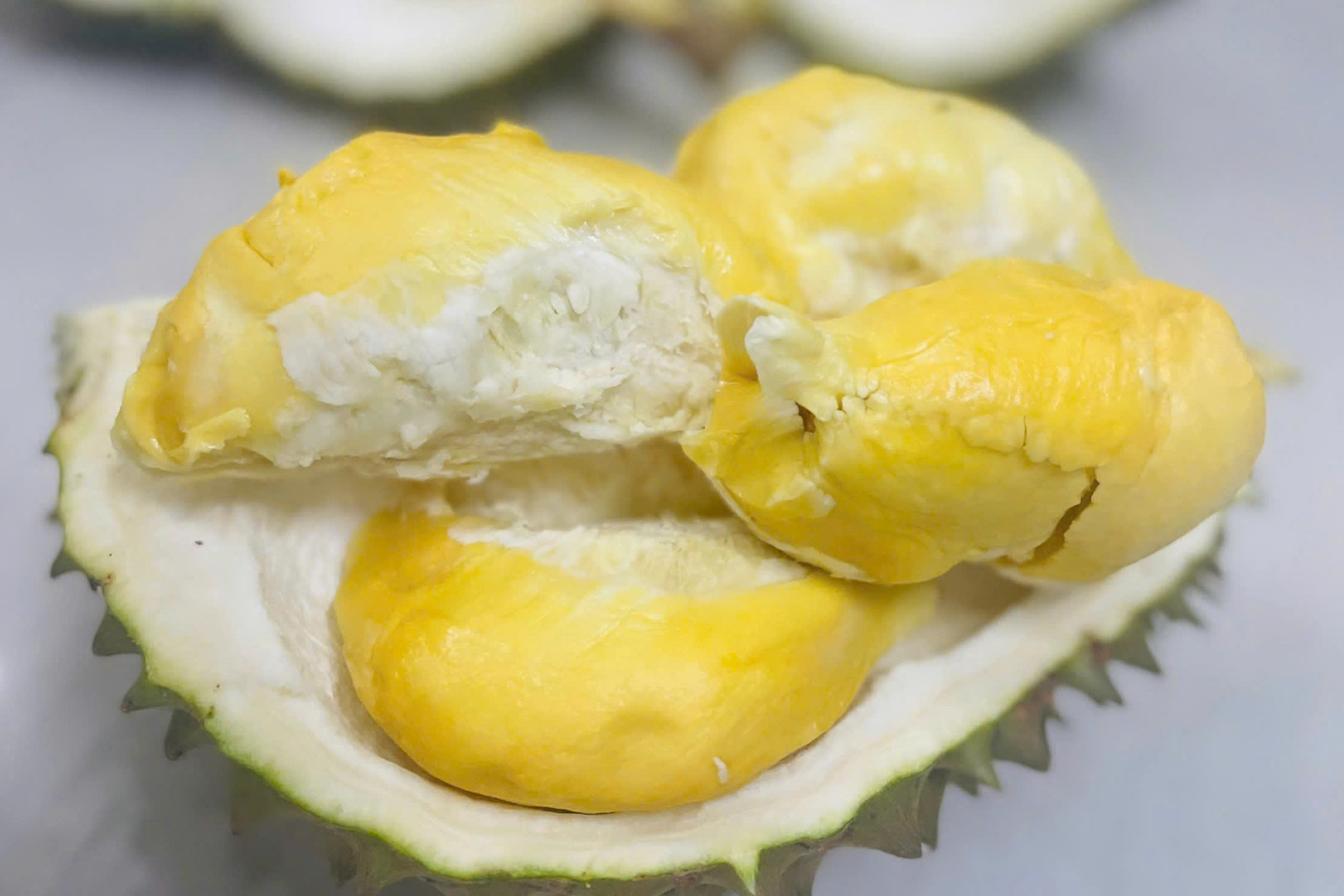 Lão nông miền Tây trồng được giống sầu riêng lạ, bán 700.000 đồng/kg