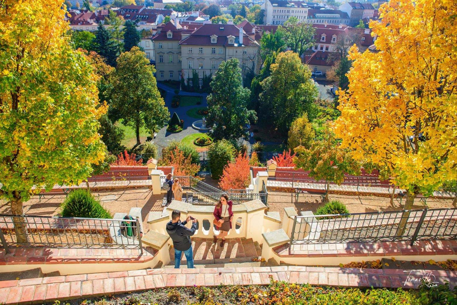 Autumn leaves are yellow all over the sky, the sky is blue, Vietnamese people 3.jpg
