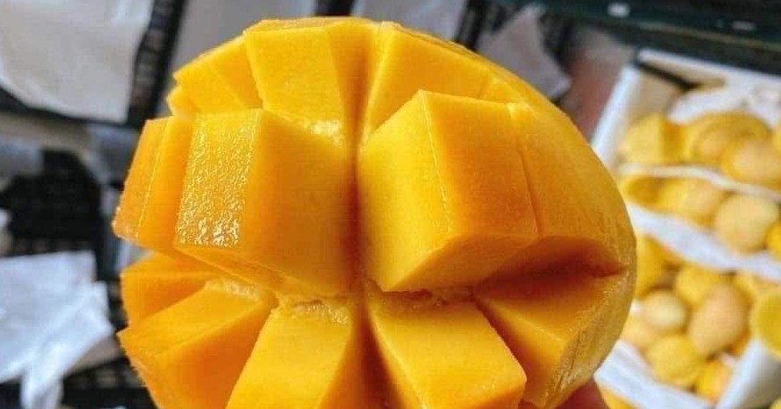 Nghịch lý sợ chất béo, tinh bột nhưng ăn quá nhiều đạm, hoa quả ngọt