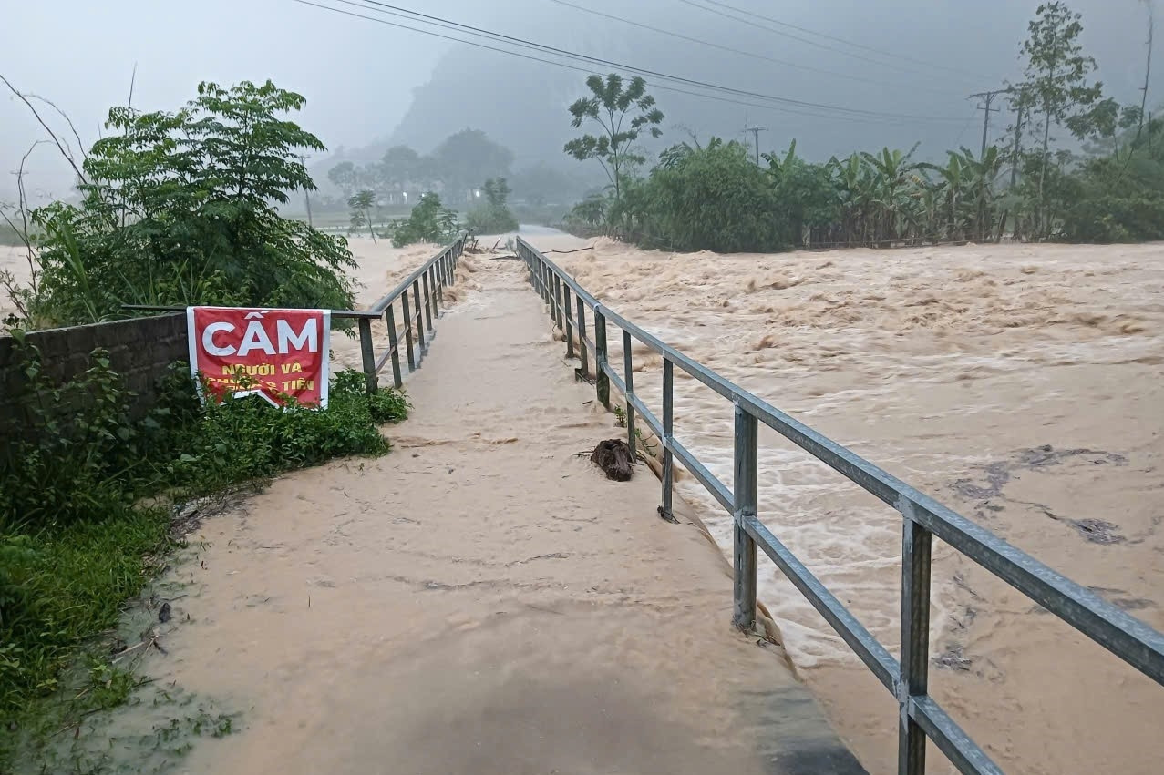 Thường trực Ban Bí thư chỉ đạo ứng phó bão số 10