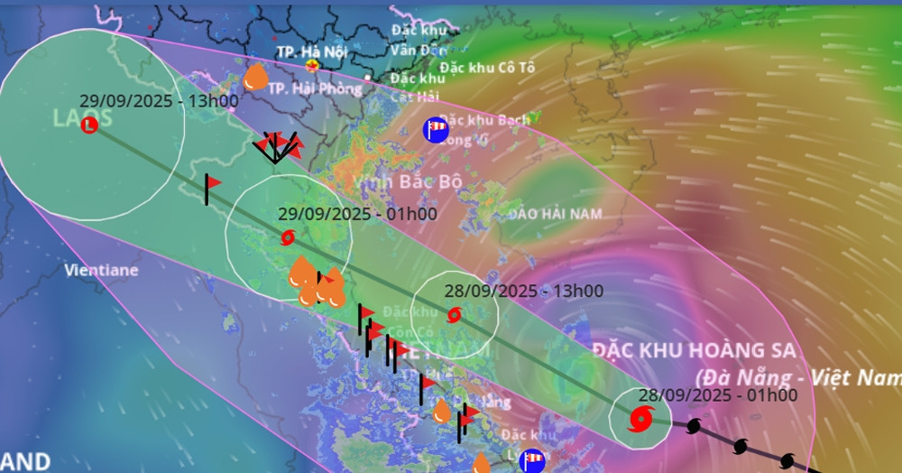 Tin mới nhất bão số 10 Bualoi: Cách Đà Nẵng 150km, tỉnh nào rủi ro thiên tai cấp 4?