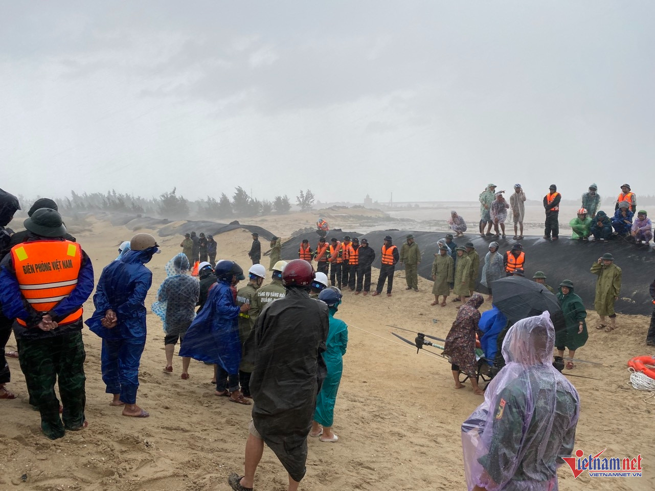 W-cứu nạn cưa viet  (24).jpg