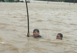 ảnh 1.jpg