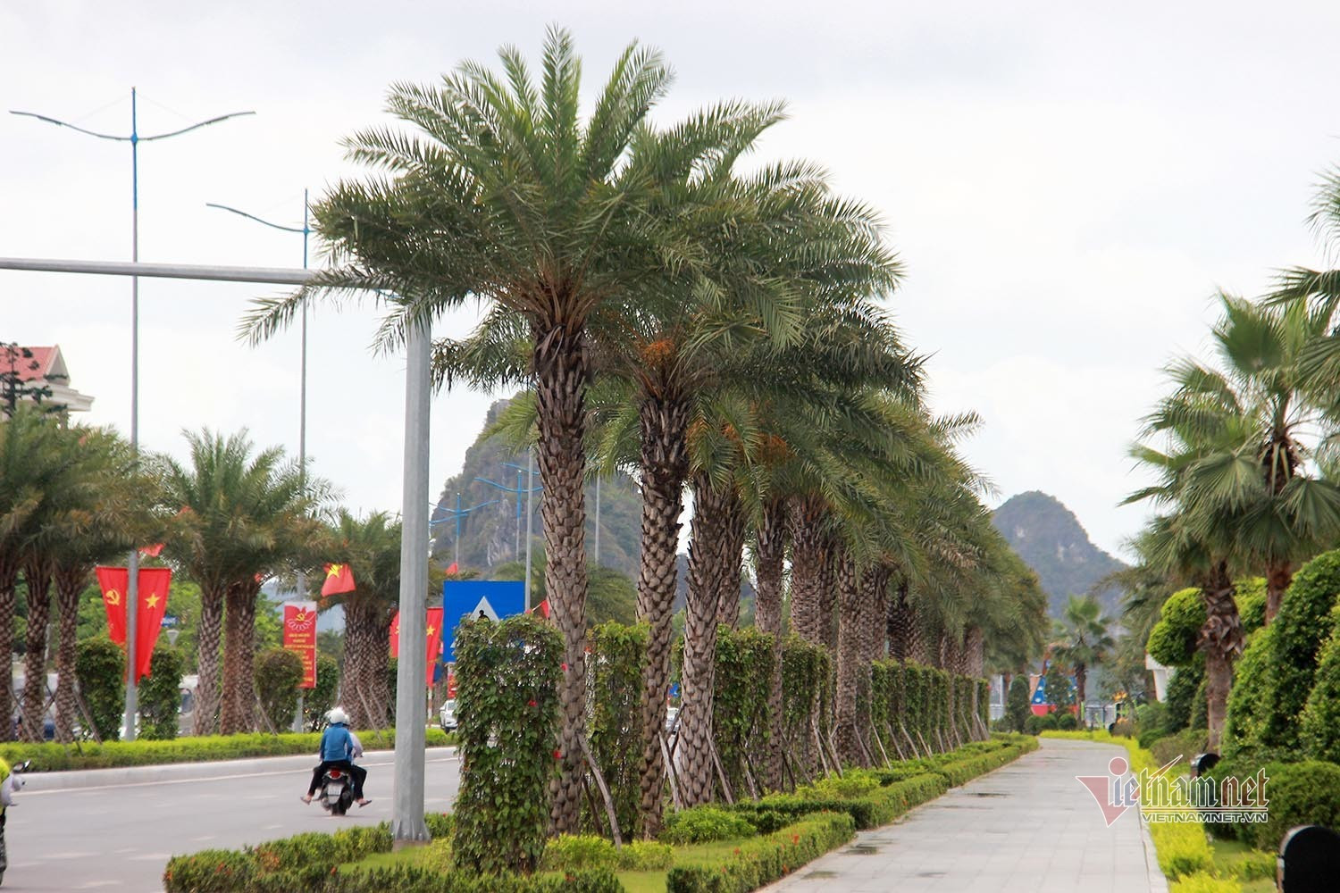 duong dep nhat ha long trong cha la triu qua nguoi dan doi chin de vat.jpeg
