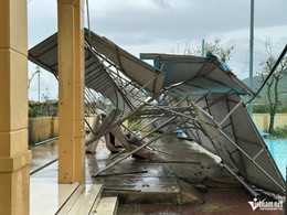 W-Anh Builoi4.jpg