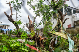 W-Quỹ nhất_13.jpg