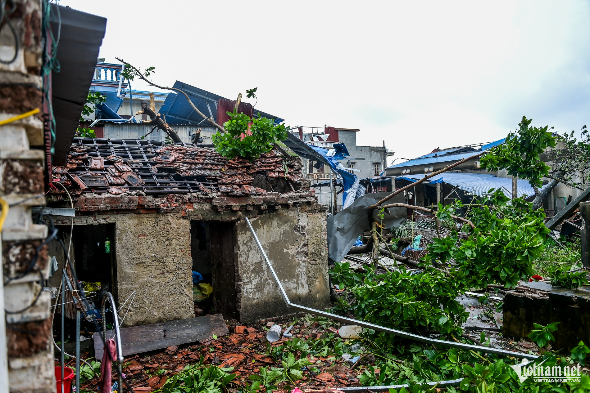 W-Quỹ nhất_17.jpg