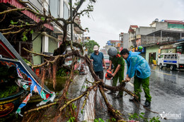 W-Quỹ nhất_3.jpg