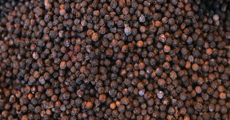 Giá tăng mạnh từng ngày, Việt Nam còn bao nhiêu ‘vàng đen’ để xuất khẩu?