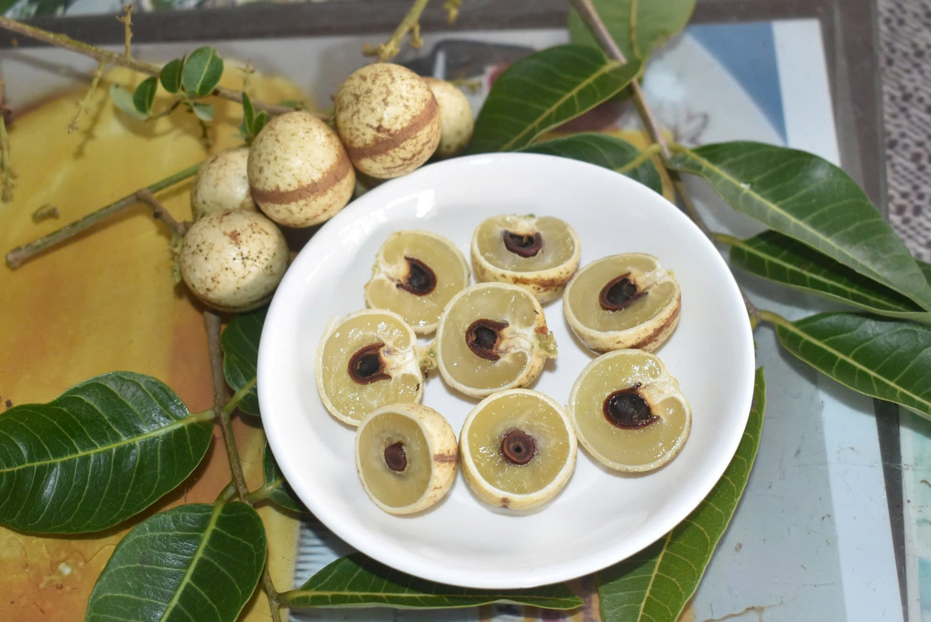 Nhãn thanh sơn 2.jpg