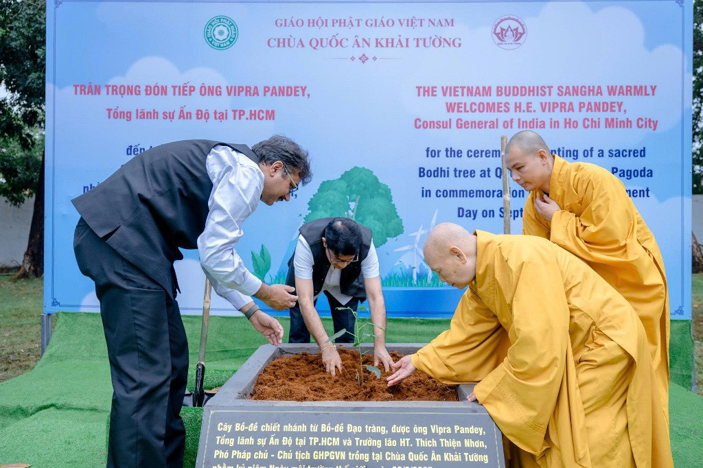 andovietnamtrongcay5.jpg