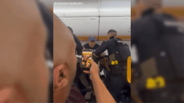 giphy89.gif