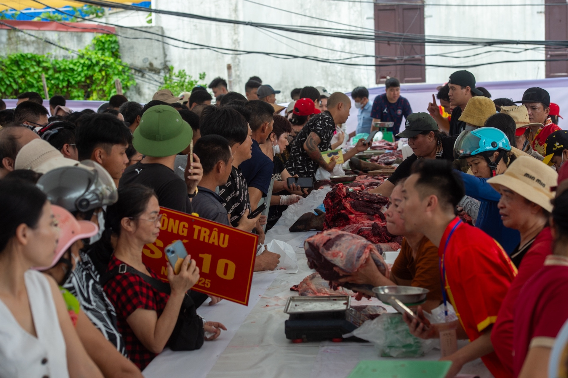 Thịt trâu chọi Đồ Sơn cao kỷ lục 5 triệu đồng/kg, khách vẫn chen mua