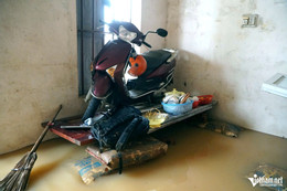W-a6hộ dân ở Thanh Hóa bị ngập trong nước lũ.jpg