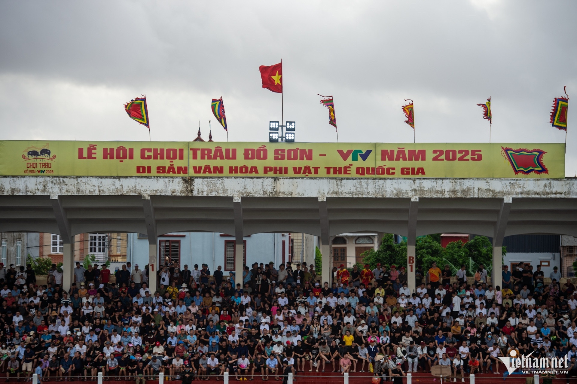 W-chọi trâu 8.jpeg