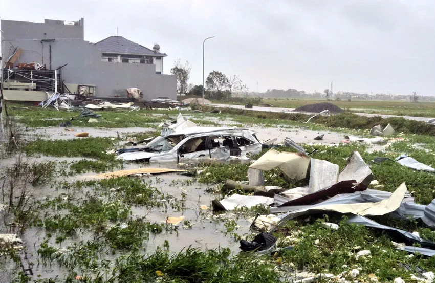 xe 7 cho bi cuon.webp