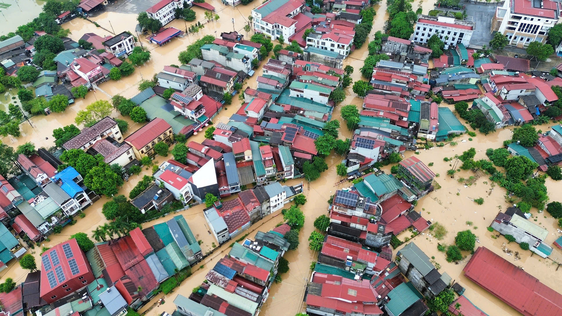 yen bai ngap 1.jpg