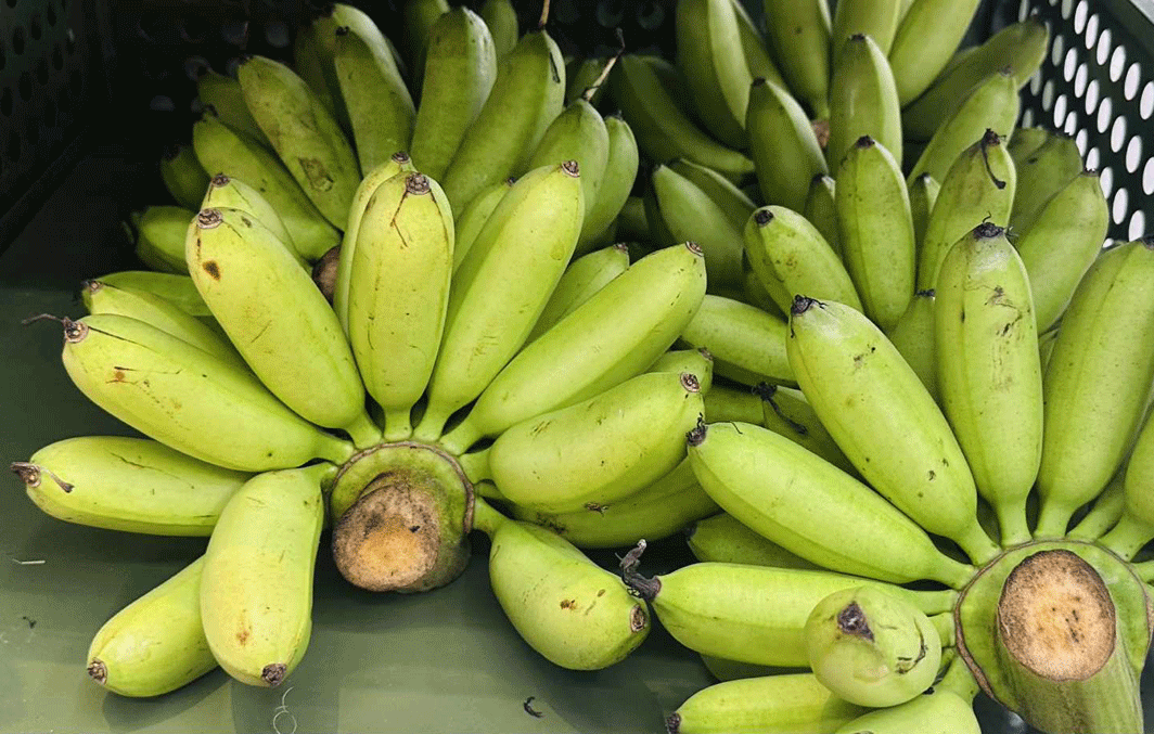 Người phụ nữ khẳng định ăn 17 quả chuối mỗi ngày, chuyên gia nói gì?