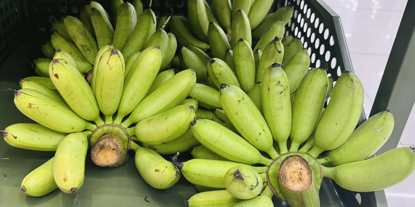 Người phụ nữ khẳng định ăn 17 quả chuối mỗi ngày, chuyên gia nói gì?