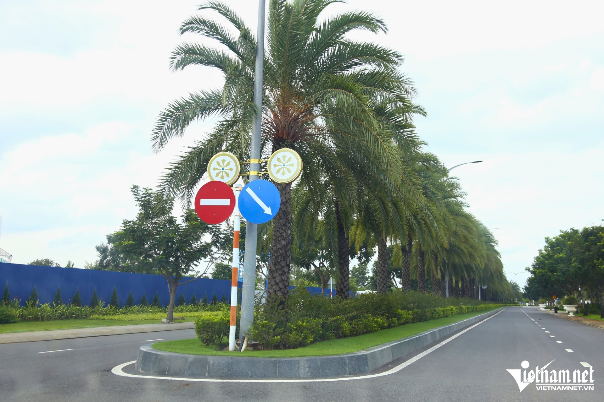 W-dao kim quy 4.jpg