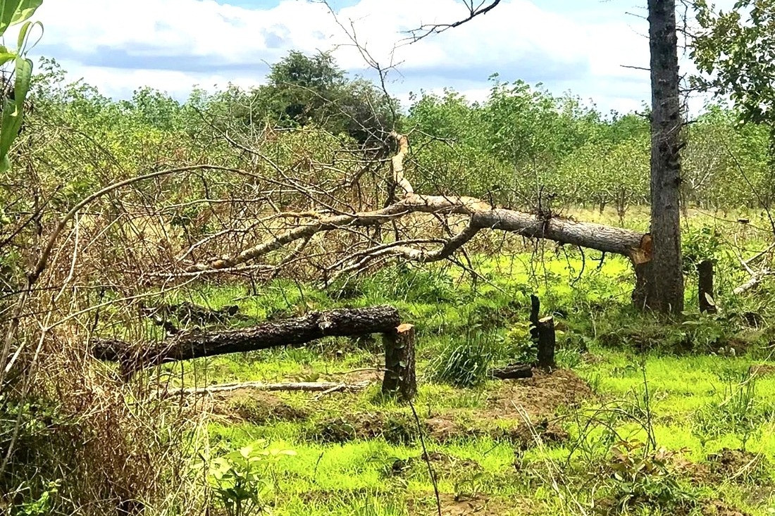 1A38B226 CD71 474D AD92 C9A23DCA62C8.jpg