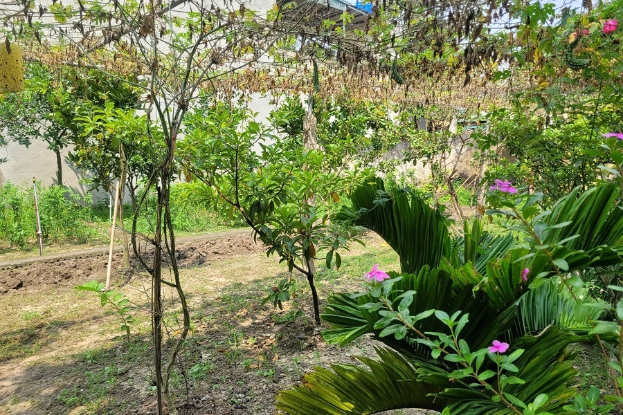 Phát huy sức mạnh nội lực, Vĩnh Lộc đẩy mạnh tuyên truyền về nông thôn mới