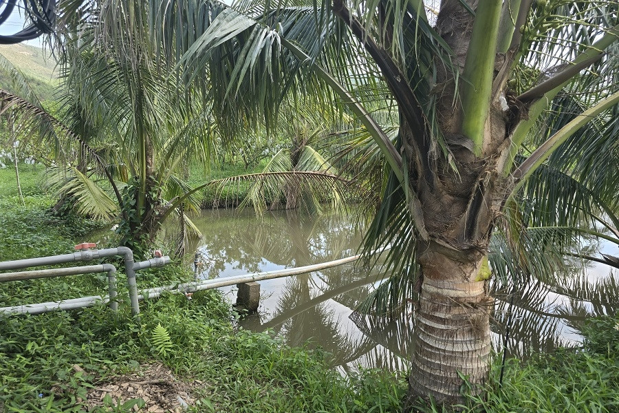 Vĩnh Kim (Đồng Tháp) phấn đấu đạt chuẩn xã nông thôn mới kiểu mẫu