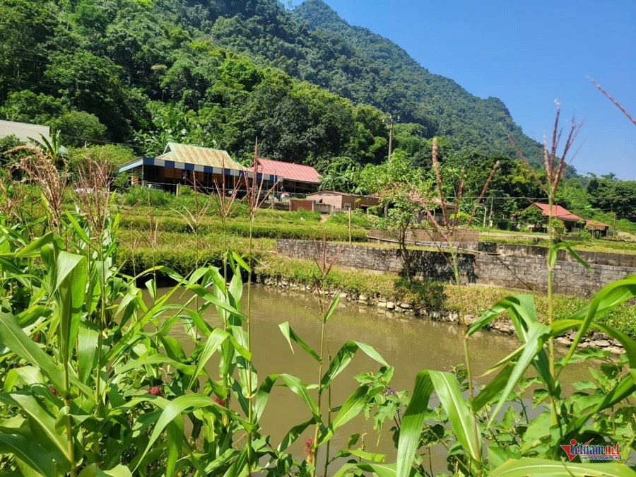 W-6c312b0a b4f1 4375 b59e 6ceeb6d14e7e.jpg