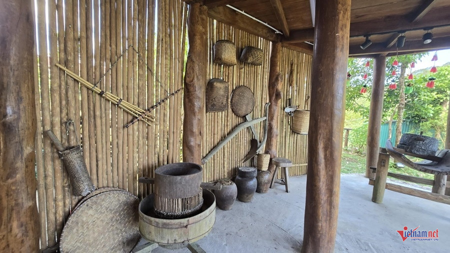 W-a88dedbd 6f0c 4331 94f9 593a4cc60f42.jpg