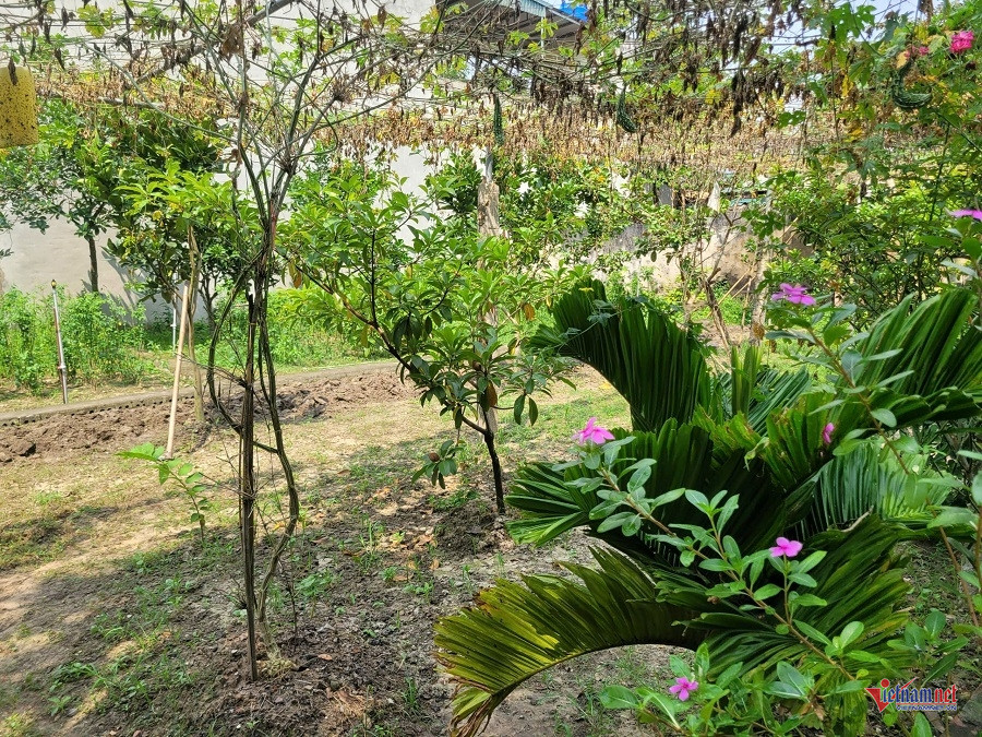 W-Bình 1000033178.jpg