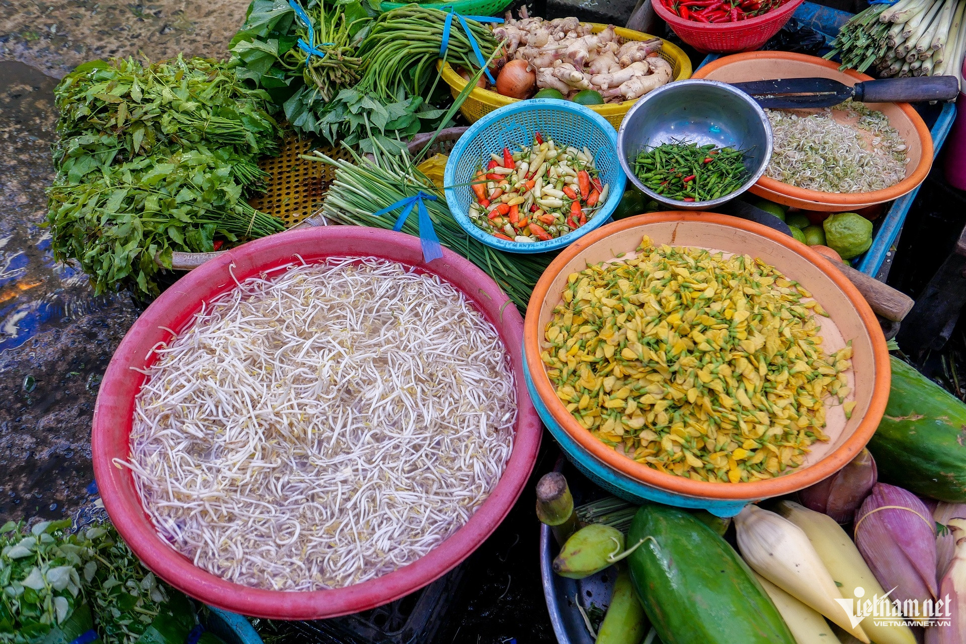 W-cá linh đặc sản miền tây 6.jpg