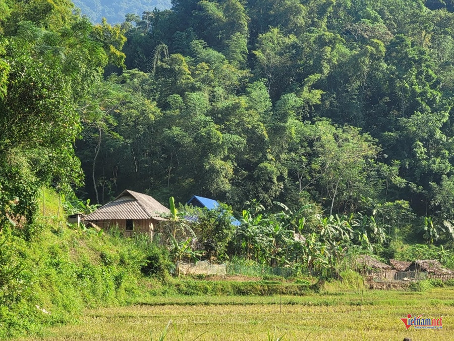 W-ce37c951 8260 4ca5 9fab 7120a84baaee.jpg