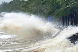 W-song thanh hoa le duong 2 665 46888.jpg