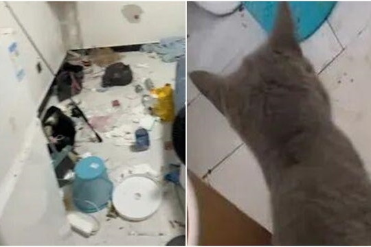 Cặp đôi thuê trọ rời đi, chủ nhà phát hoảng khi mở cửa căn hộ