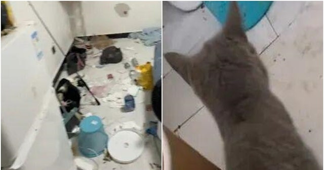 Cặp đôi thuê trọ rời đi, chủ nhà phát hoảng khi mở cửa căn hộ