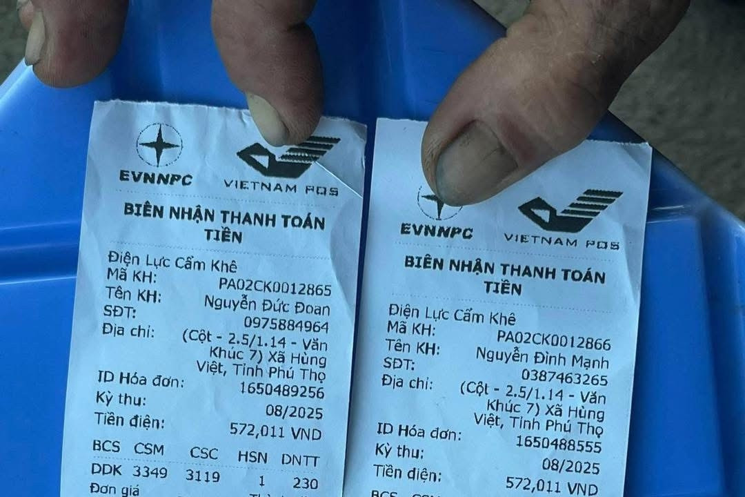 Hóa đơn điện của 2 hộ tại Phú Thọ giống y chang số tiền, kết quả kiểm tra có gì?