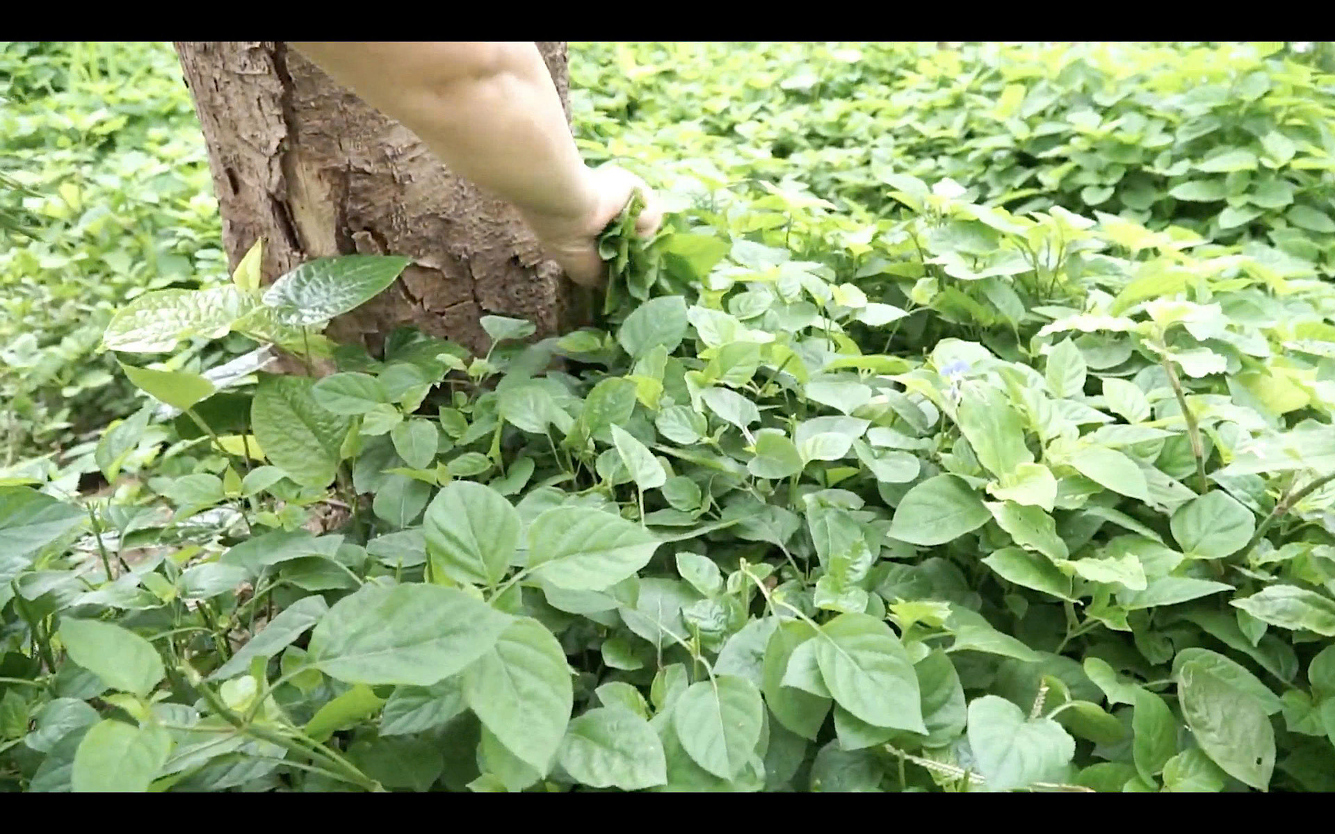 image_123650291 (6).JPG