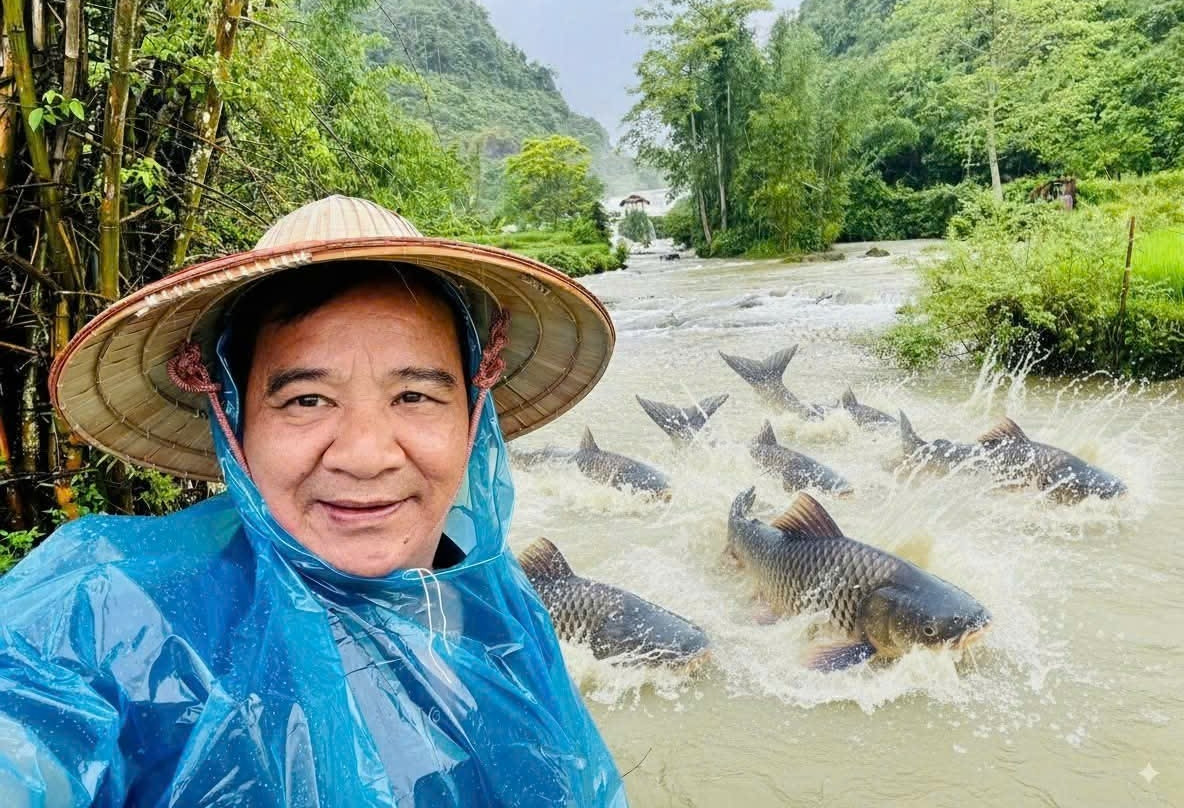 NSƯT Quang Tèo trải nghiệm suối cá 'lạ', Trọng Tấn thu hoạch hoa quả ở villa