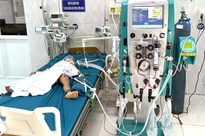 1 bé tử vong, 1 trường hợp nguy kịch do bị ong vò vẽ đốt