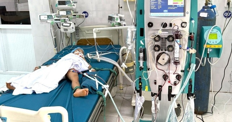 1 bé tử vong, 1 trường hợp nguy kịch do bị ong vò vẽ đốt