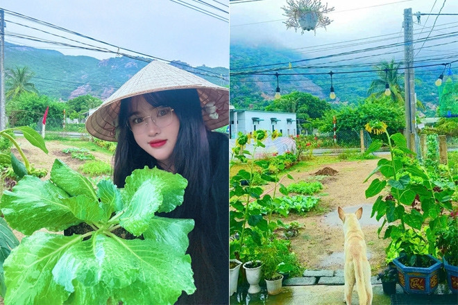 Cô giáo tiếng Hàn bỏ phố về quê, được ‘chữa lành’ nhờ khu vườn xanh mướt