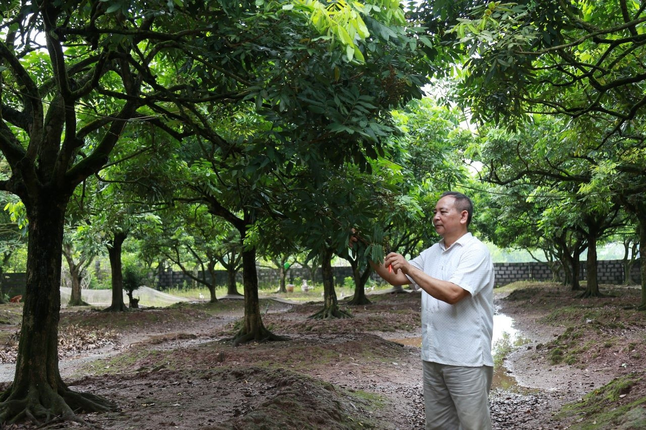 Phát huy dân chủ, tạo động lực xây dựng nông thôn mới ở Ninh Bình