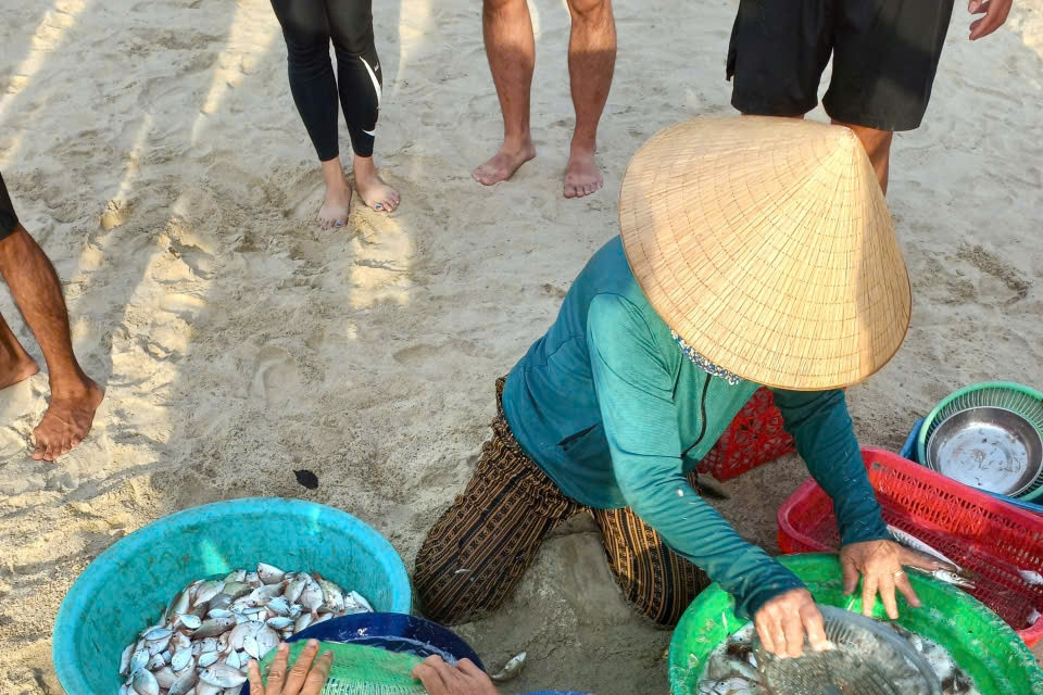 Phường Hải Bình, Thanh Hóa: Khai thác, phát huy tiềm năng kinh tế biển