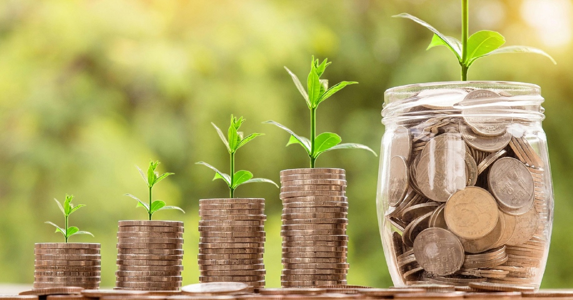 PROFIT500 - ‘Bản đồ lợi nhuận’ của doanh nghiệp Việt