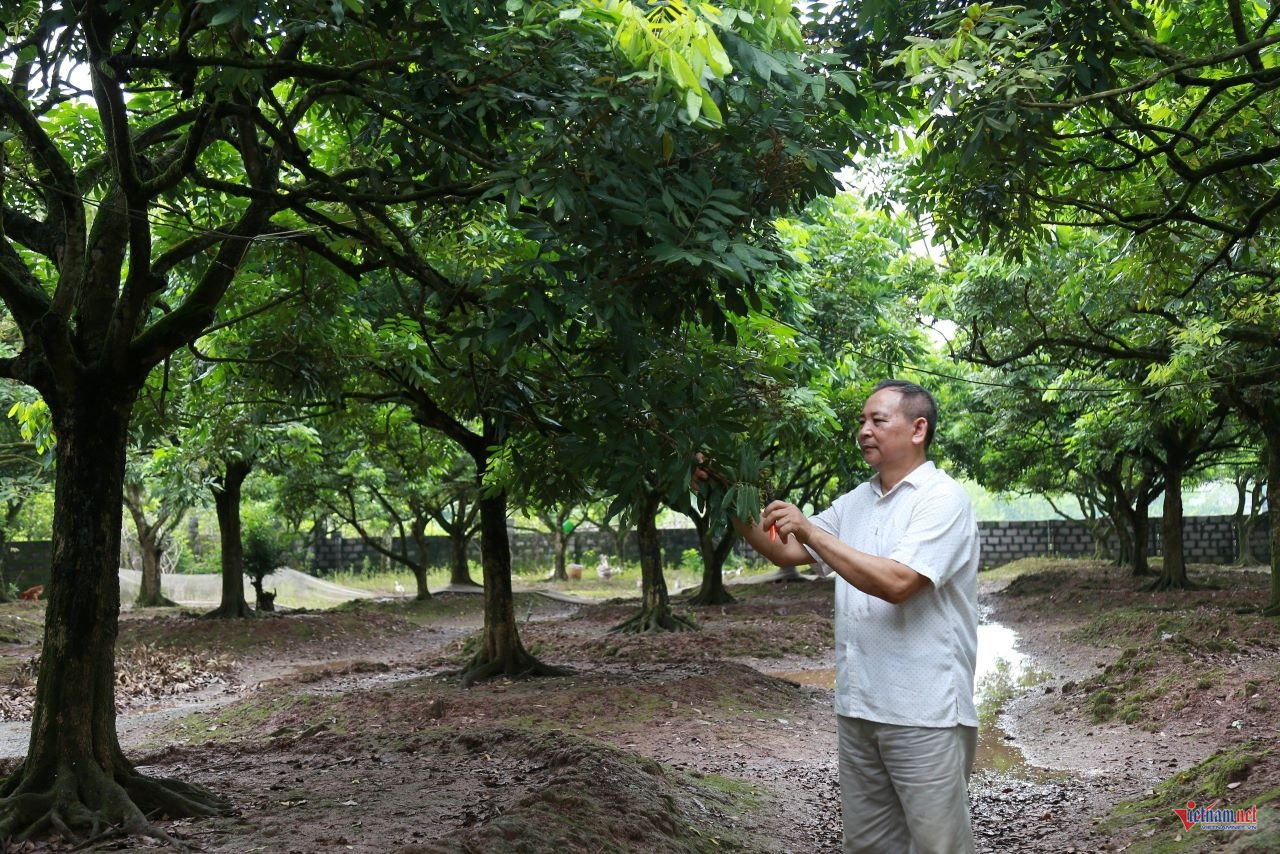 W-anh bai 32 chuan.jpg