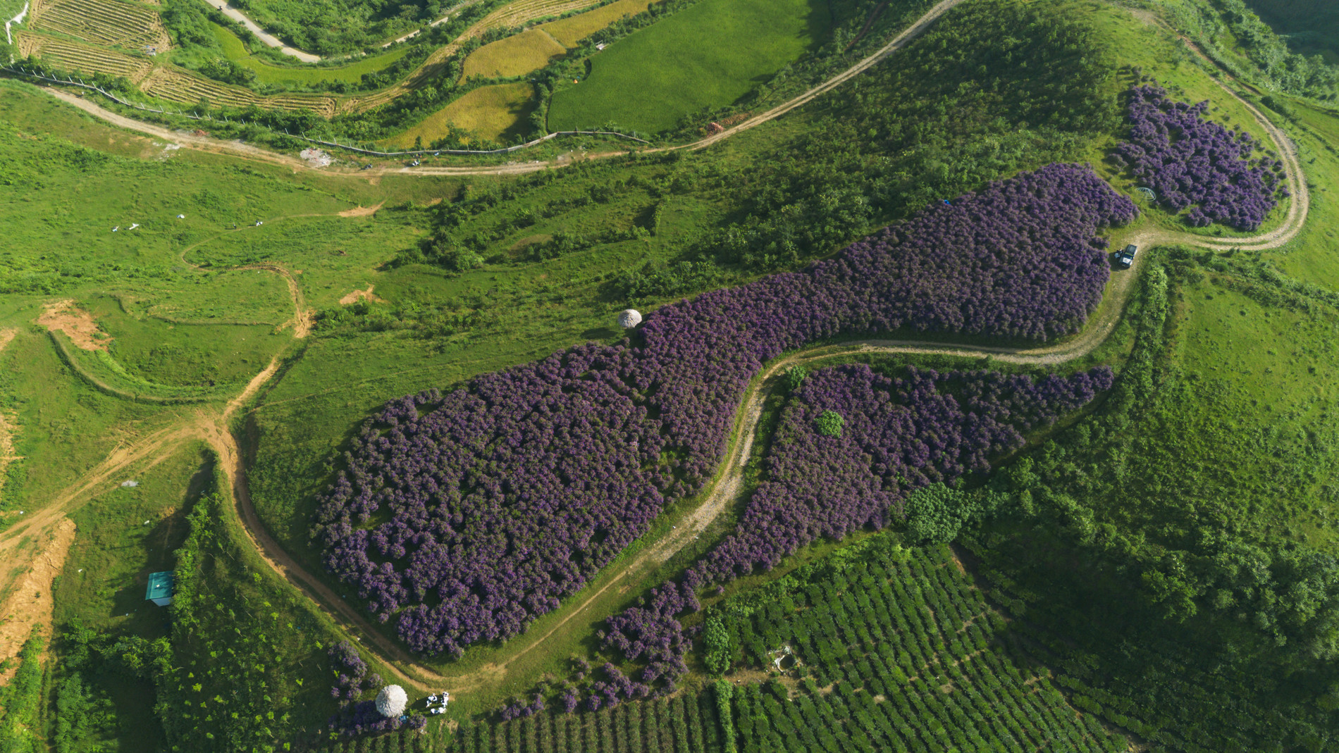 DJI_0112.jpg