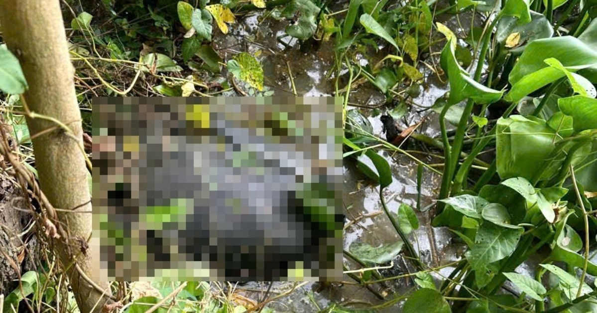 Tạm giữ hình sự người đàn ông sát hại \'vợ hờ\' rồi phi tang cách 70km