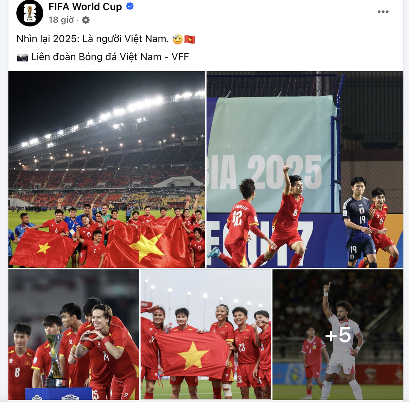 fifa viet nam.png