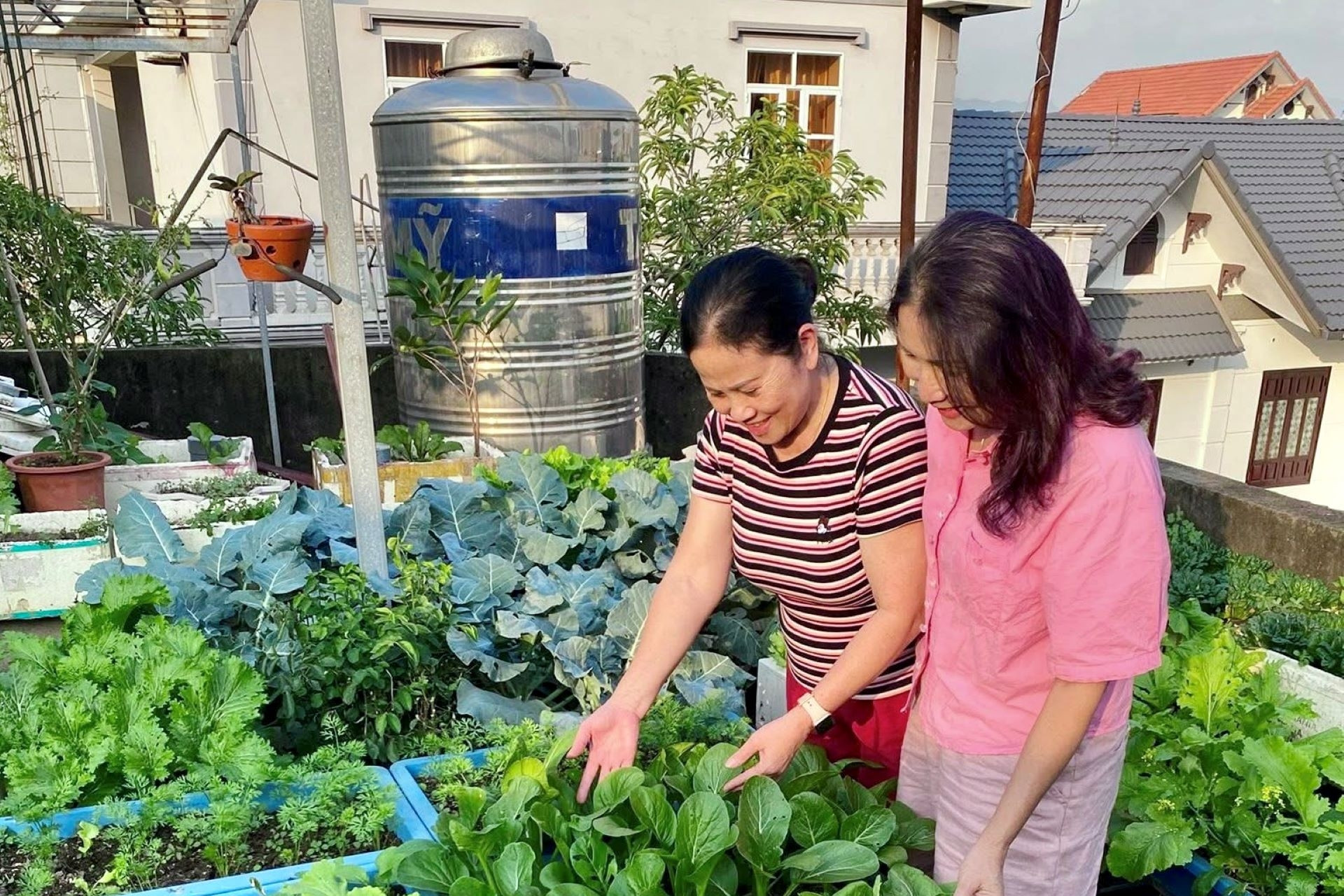 Hà Nội phát triển vùng rau an toàn đến năm 2030