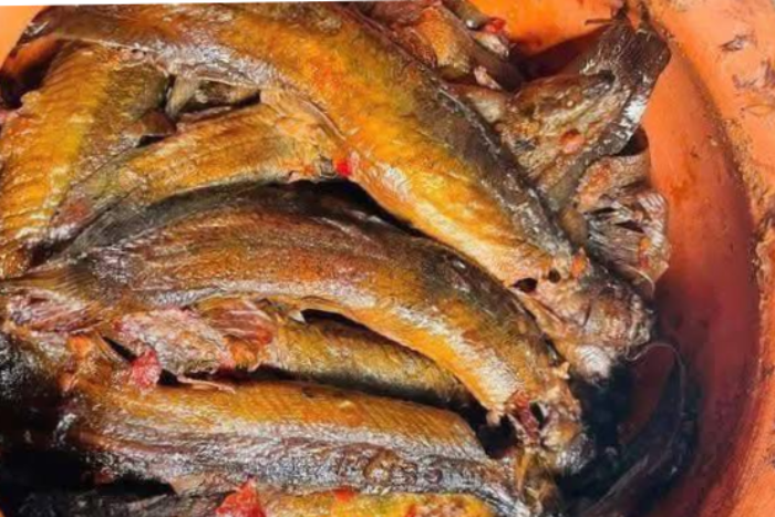  Loại cá từng bị 'ghẻ lạnh', chê bẩn nay thành đặc sản 'sâm nước' 